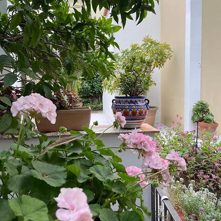 Appartamenti Villa Maria Ischia Bagian luar foto