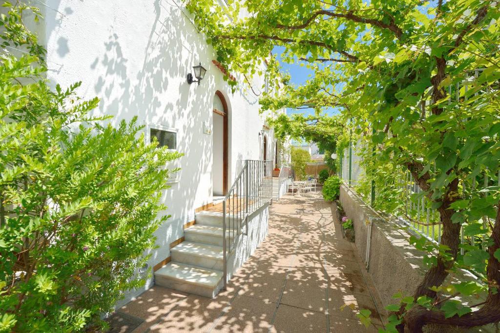 Appartamenti Villa Maria Ischia Bagian luar foto